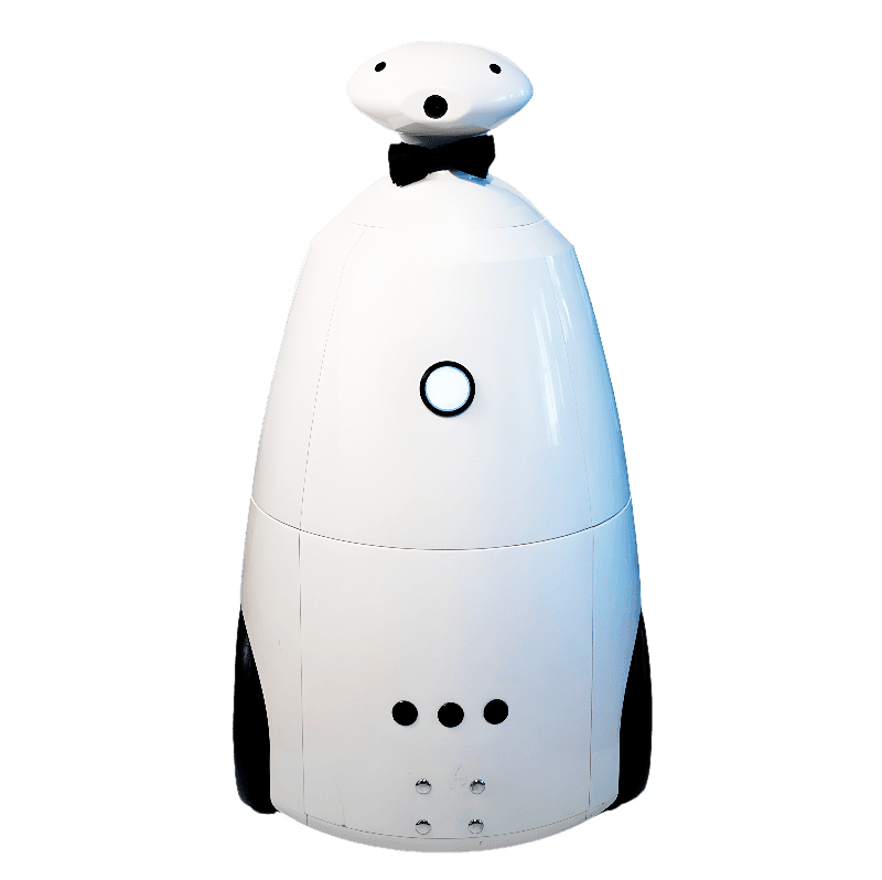 Робот-промоутер R.Bot 100 Promo