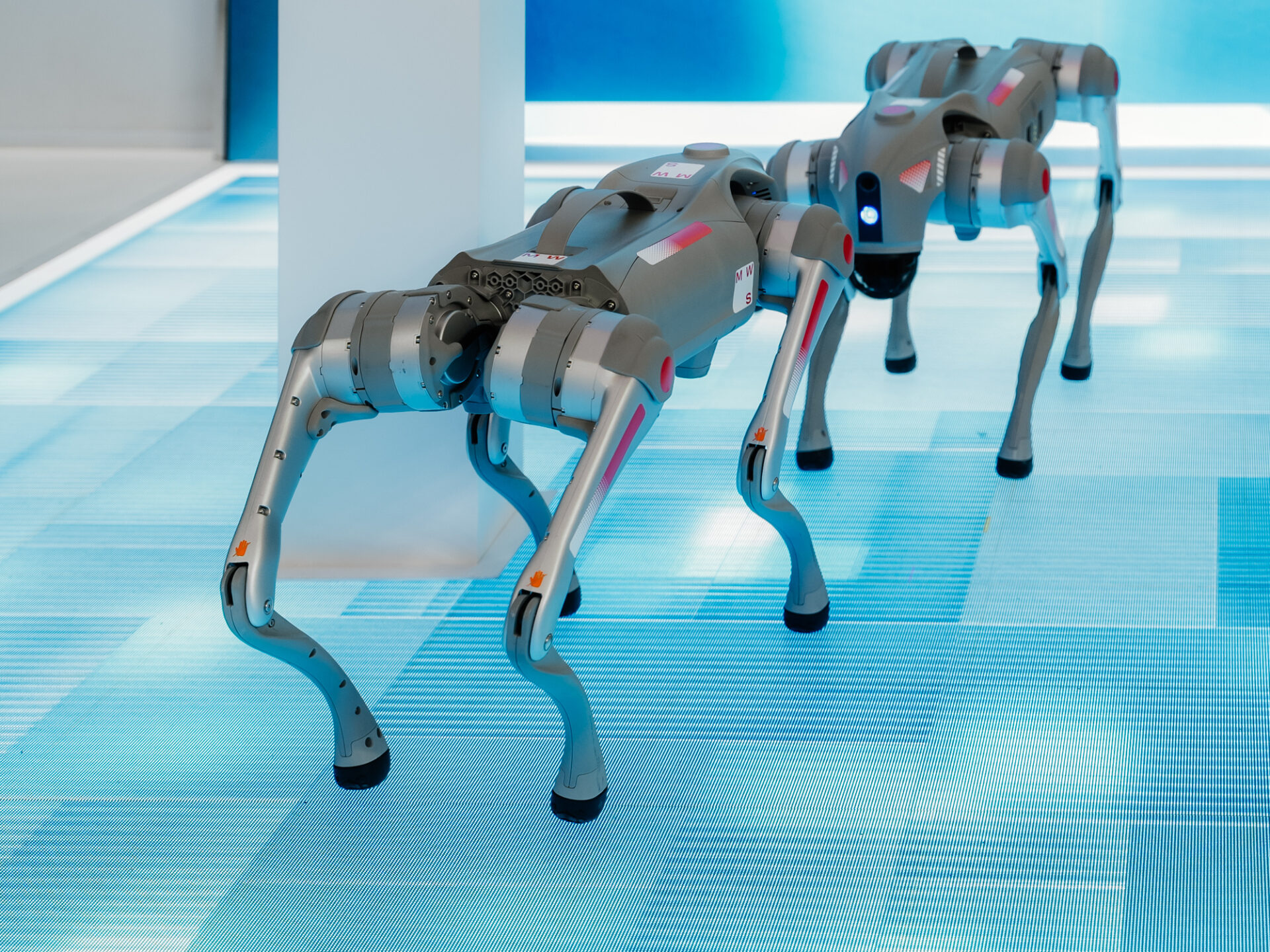 Как выбрать арендуемого робота в зависимости от формата вашего мероприятия