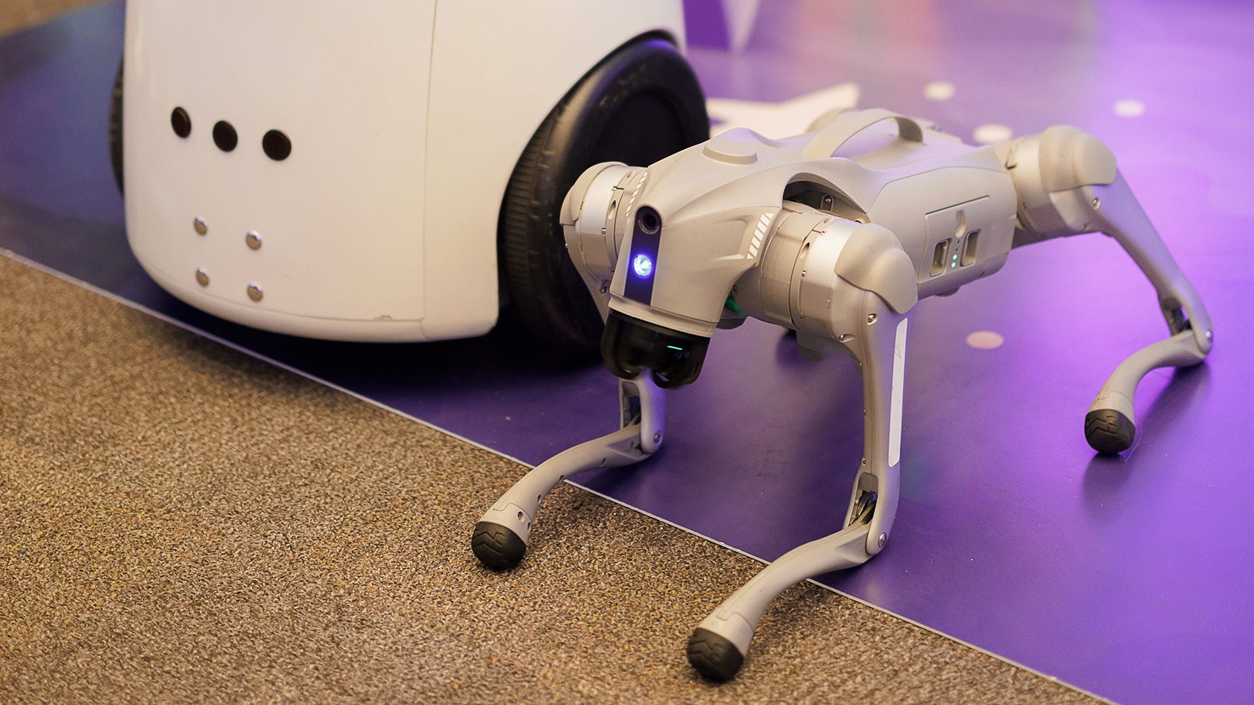 Кейсы успешного использования арендуемых роботов: вдохновение для вашего мероприятия